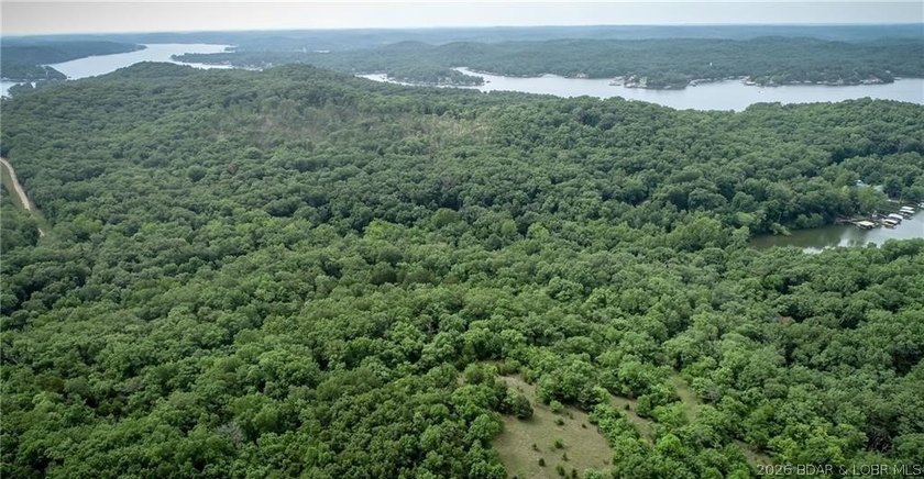 17 wooded acres with a clearing at the top of the property to - photo 14