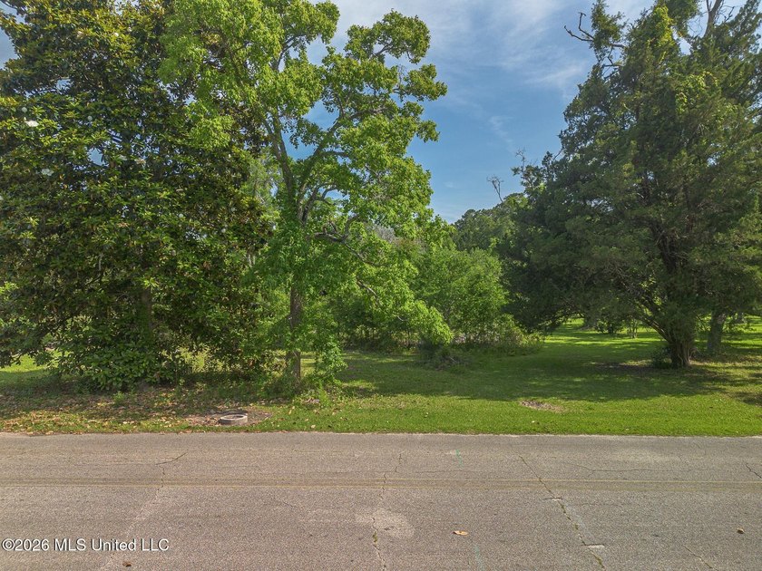 Prime Multi-Family Development Opportunity on the Mississippi - photo 2