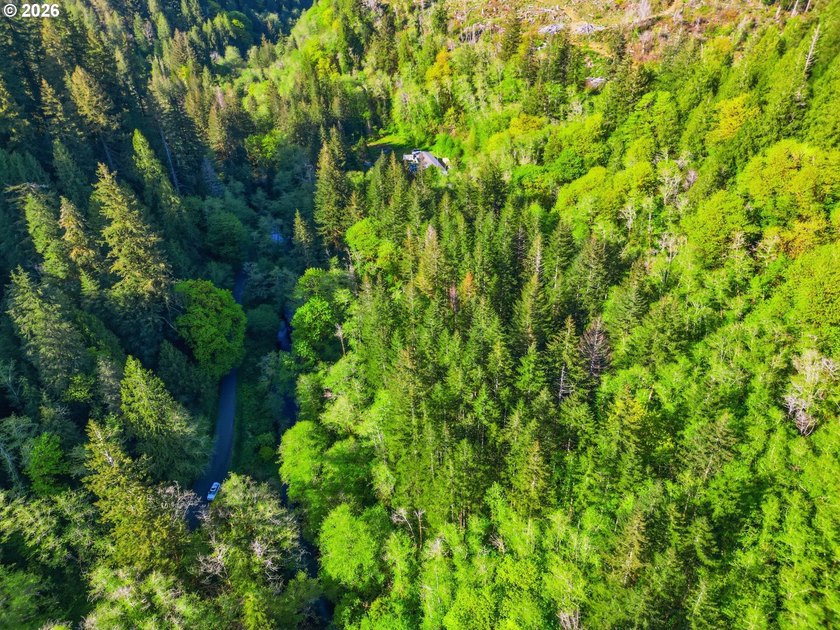 Own a piece of paradise on the upper North Fork River.Zoned F2 - photo 3