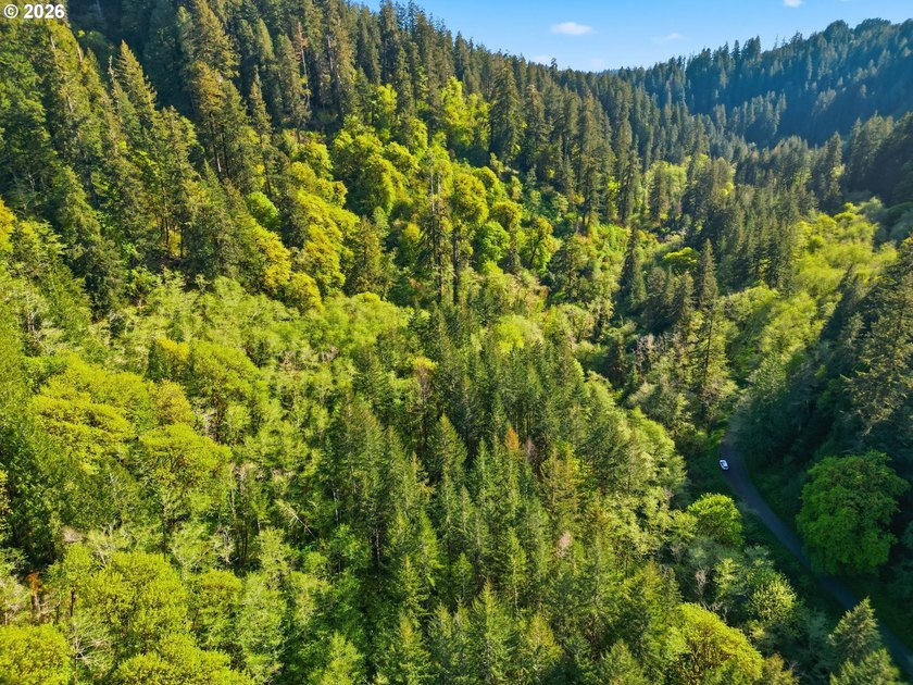 Own a piece of paradise on the upper North Fork River.Zoned F2 - photo 5