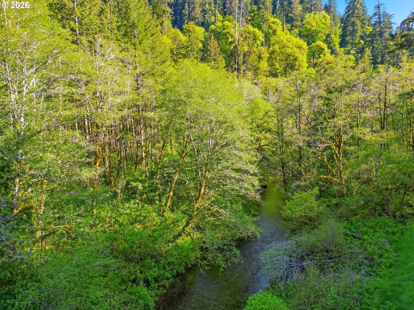 Own a piece of paradise on the upper North Fork River.Zoned F2 - photo 8