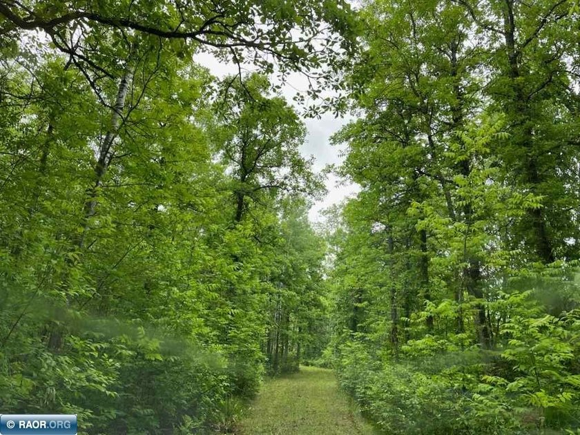 Looking for some recreational land with river frontage? Here is - photo 4