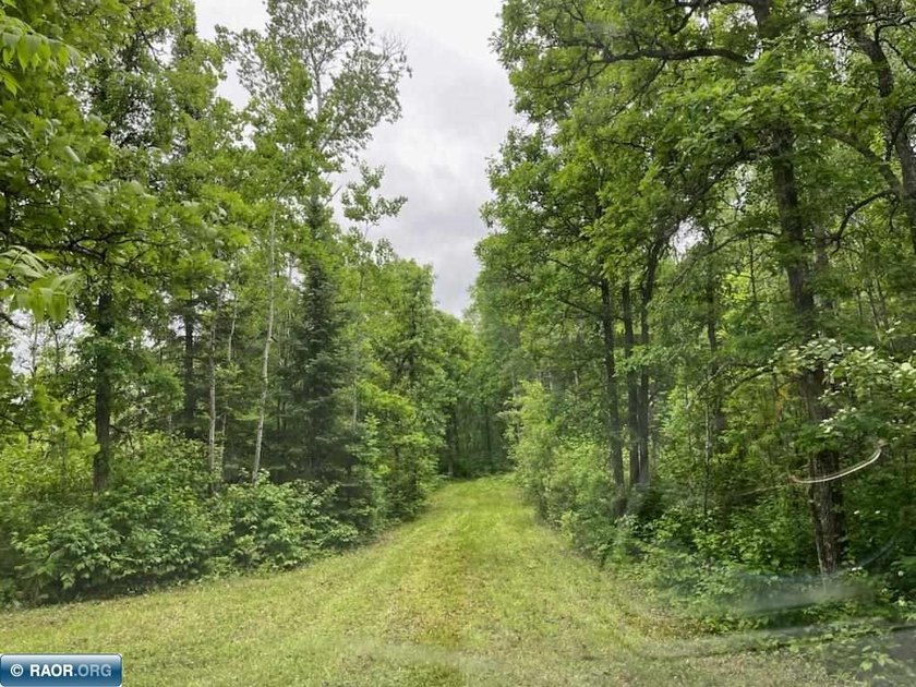 Looking for some recreational land with river frontage? Here is - photo 5
