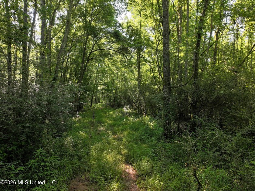This 105 +/- acres is located in Lincoln County, Mississippi - photo 3