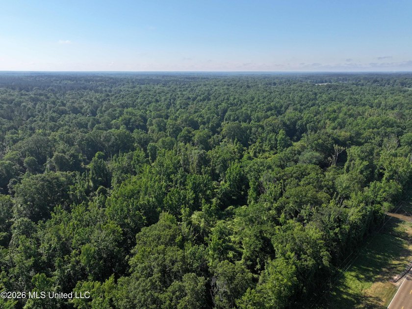 This 105 +/- acres is located in Lincoln County, Mississippi - photo 4