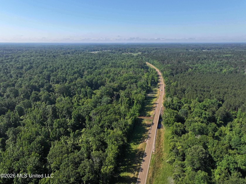 This 105 +/- acres is located in Lincoln County, Mississippi - photo 5