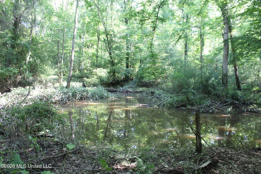 This 105 +/- acres is located in Lincoln County, Mississippi - photo 7