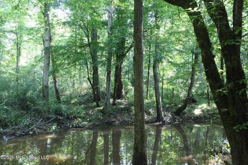 This 105 +/- acres is located in Lincoln County, Mississippi - photo 8