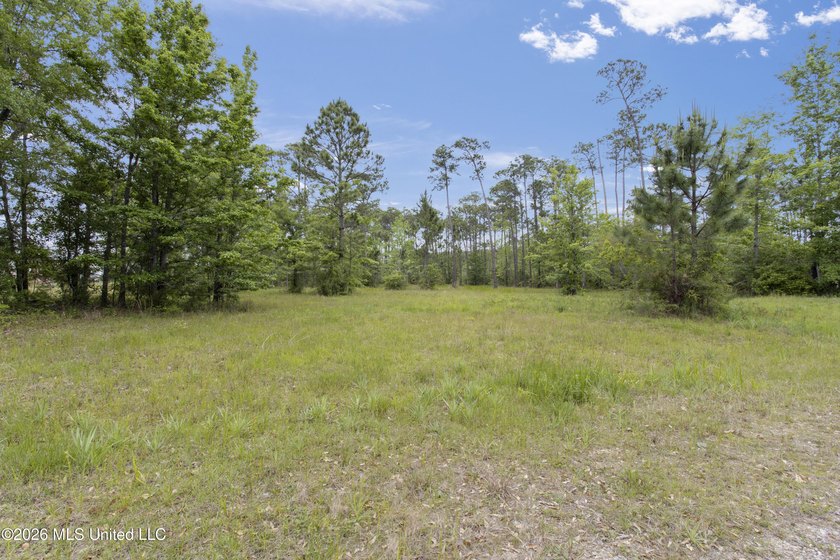 Discover your slice of paradise nestled near the tranquil Biloxi - photo 3