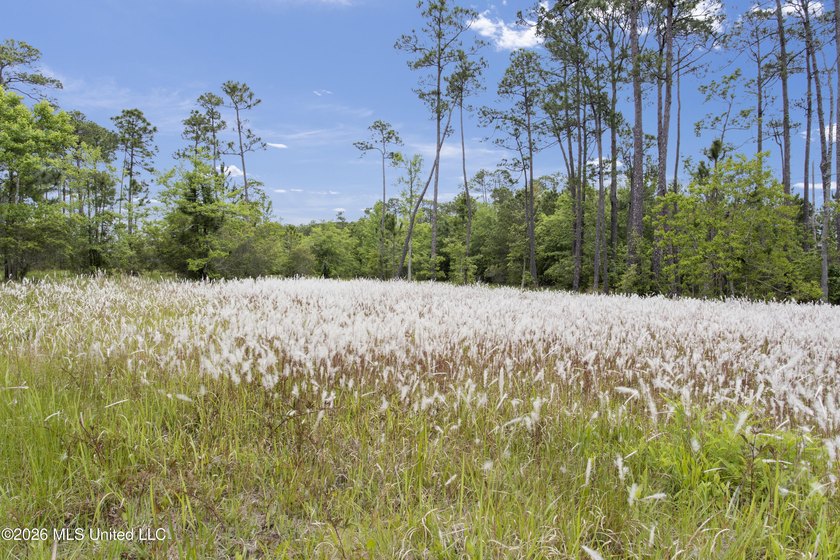 Discover your slice of paradise nestled near the tranquil Biloxi - photo 5