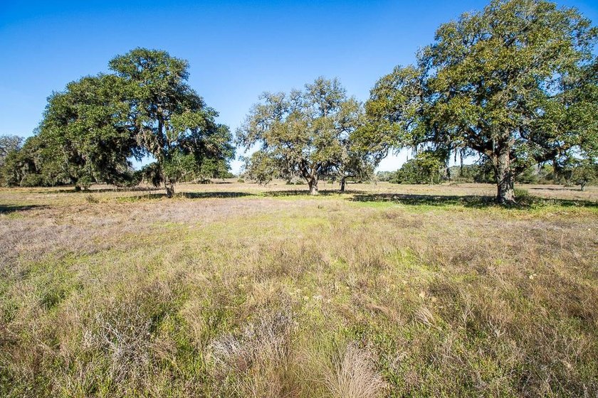 The Cole Ranch presents a rare opportunity to acquire 259+/- - photo 46