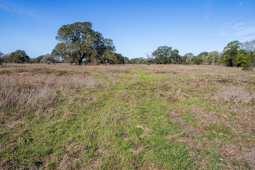 The Cole Ranch presents a rare opportunity to acquire 259+/- - photo 50