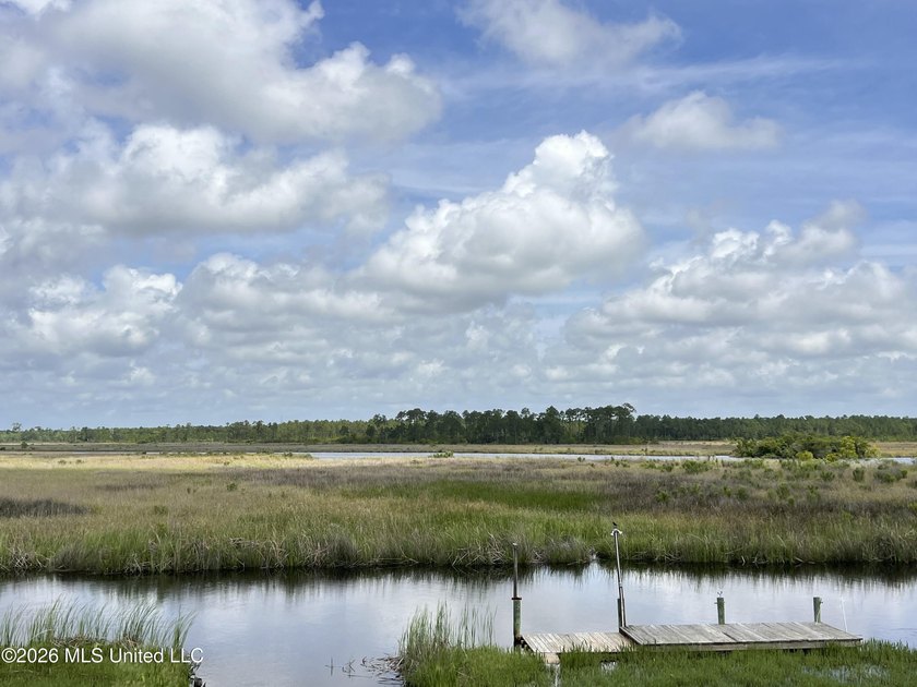 NONE OTHER LIKE THIS: This property is nestled in a quiet and - photo 2