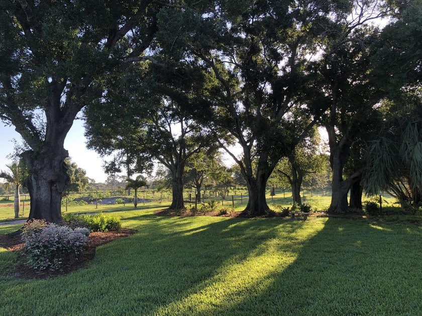 3605 Gordy Rd - photo 23