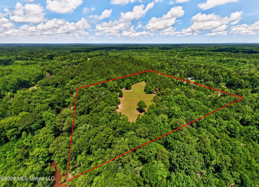 Escape to your own private outdoor paradise with this 3-bedroom - photo 4