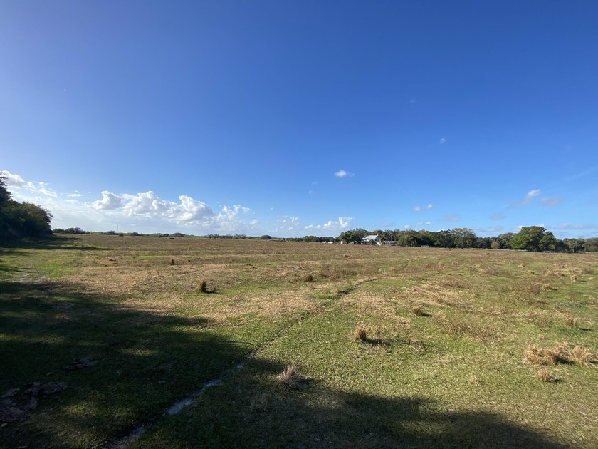 3605 Gordy Rd - photo 34