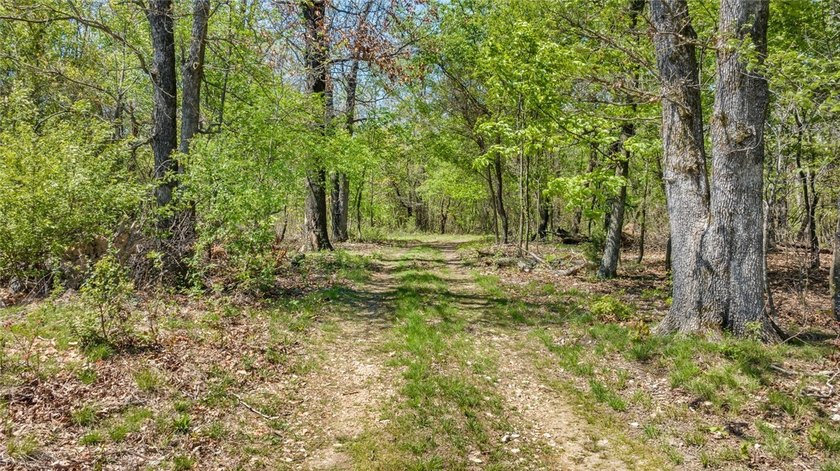 Welcome to a rare gem in Northwest Arkansas-158 beautiful acres - photo 15