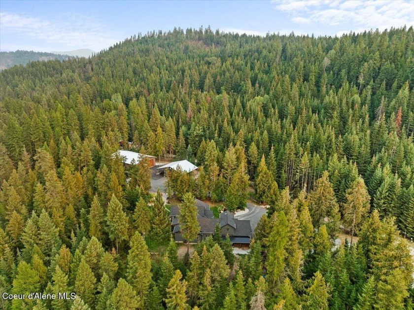 Kelso Lake Waterfront estate on over 5 acres with 300+ ft of - photo 11