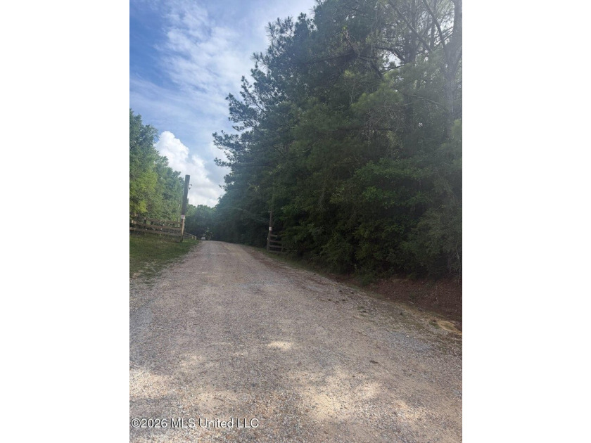 79.9 acres between Edwin Ladner Rd &amp; Vidalia - photo 2
