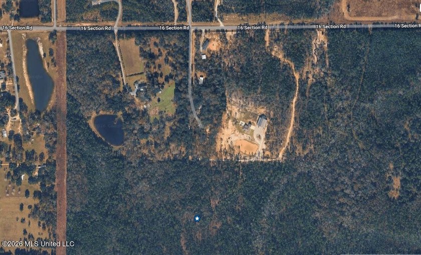 79.9 acres between Edwin Ladner Rd &amp; Vidalia - photo 3