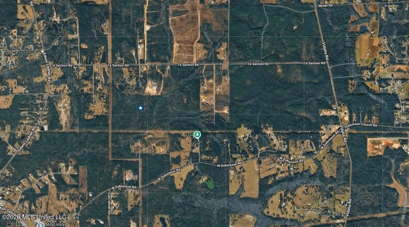 79.9 acres between Edwin Ladner Rd &amp; Vidalia - photo 4