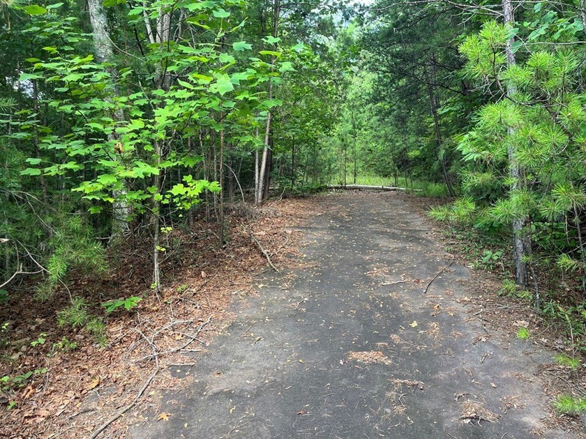 Discover unparalleled tranquility and peace on this .94 acres of - photo 2