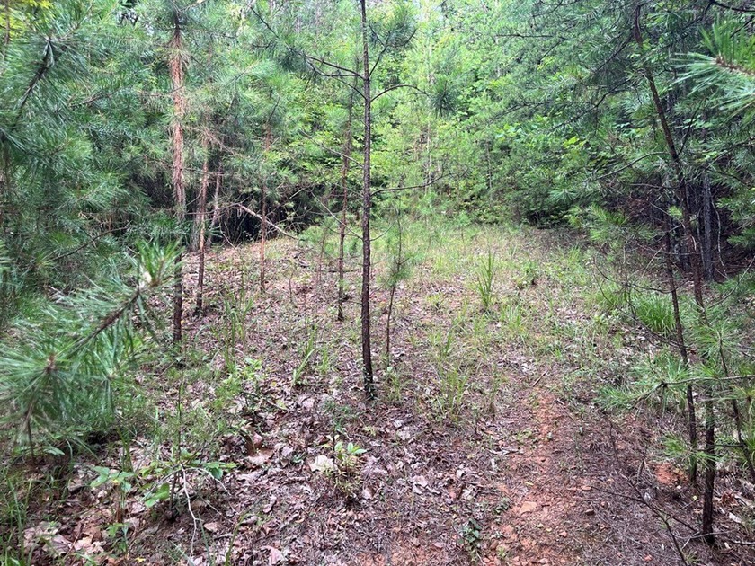 Discover unparalleled tranquility and peace on this .94 acres of - photo 7