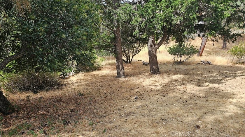 Bring your vision and transform this lakeview fixer into - photo 26