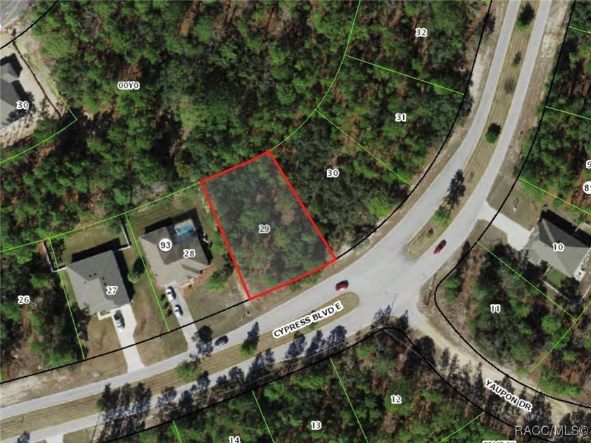 Premium Building Lot in Sugarmill Woods - Cypress Village - photo 5