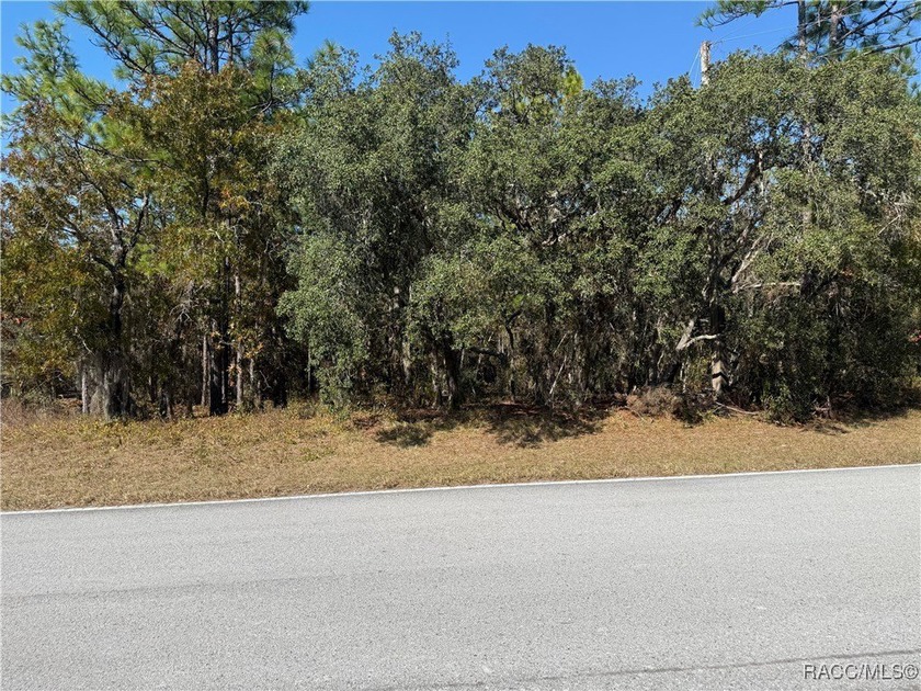 Premium Building Lot in Sugarmill Woods - Cypress Village - photo 6