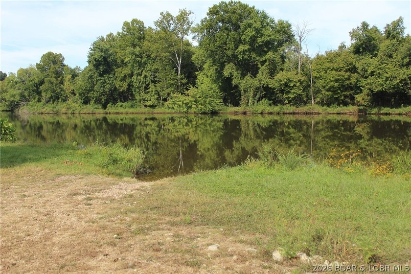 Gemini said PRISTINE LAKEFRONT LOT ON PRIVATE POCAHONTAS LAKE! - photo 15