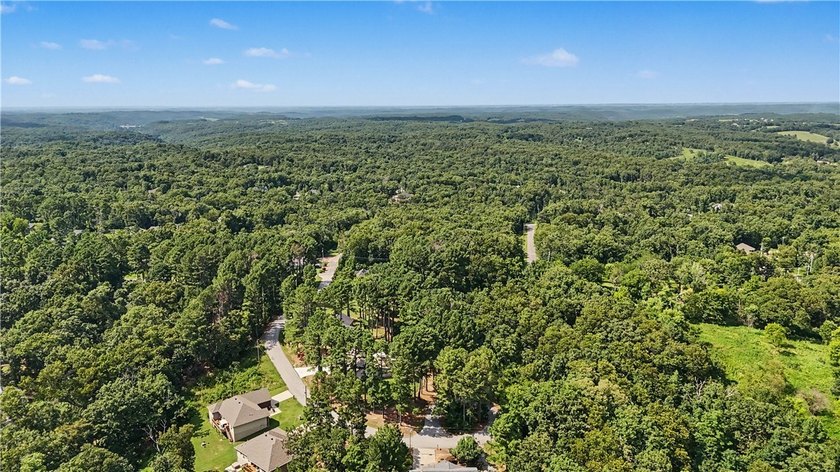 Tired of looking at the same cookie cutter homes? This 3 bedroom - photo 38