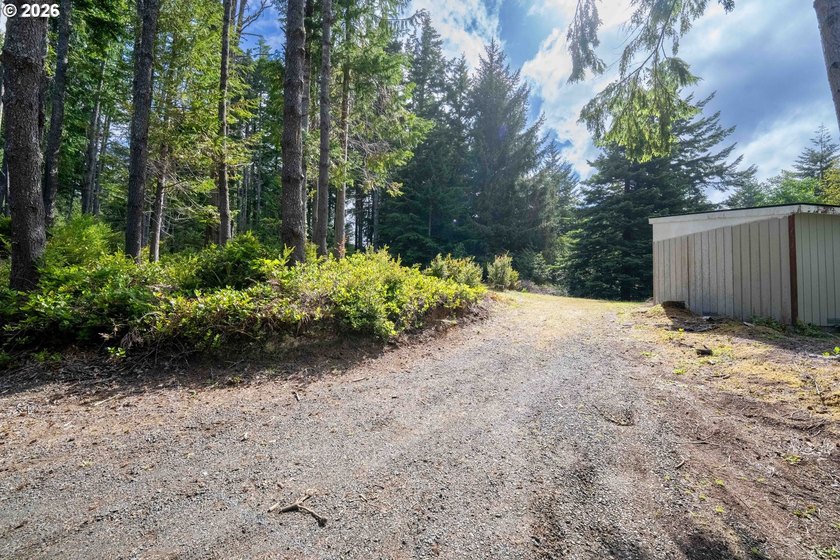 Here's your chance to own two side-by-side residential tax lots - photo 8