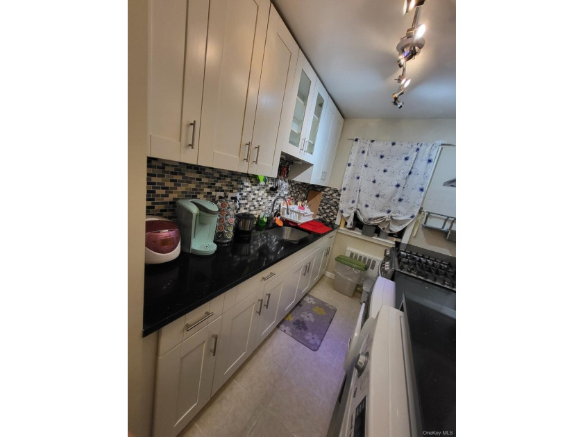 Totally Renovated Clearview One Bedroom Lower Level Unit (Size 3 - photo 4