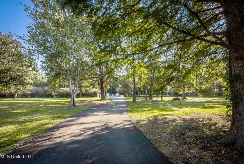 Gorgeous, centuries-old majestic oaks line these level, one-acre - photo 15