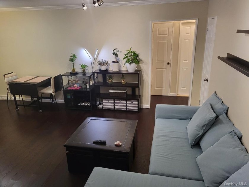 Totally Renovated Clearview One Bedroom Lower Level Unit (Size 3 - photo 5