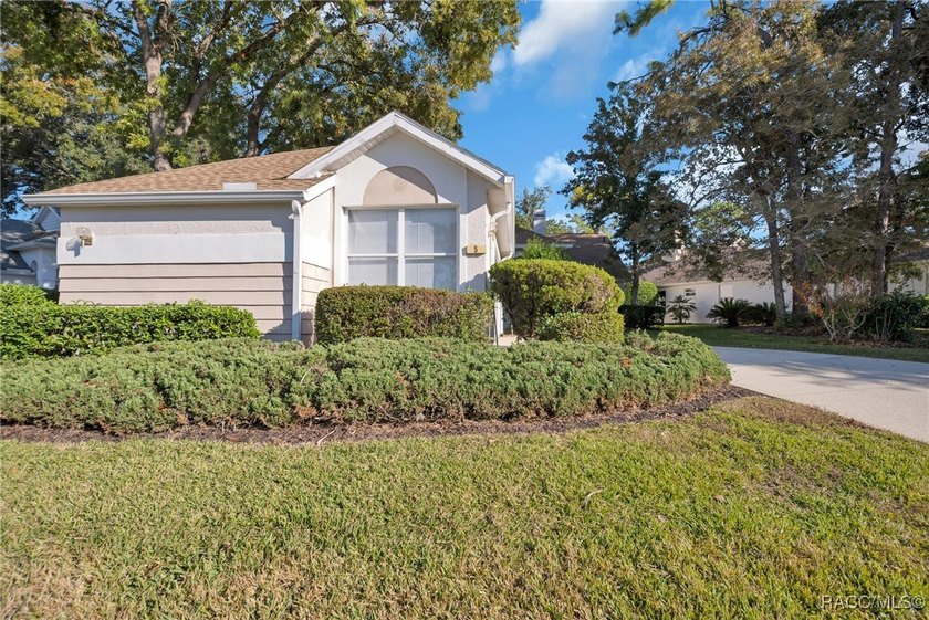 Enter to vaulted ceilings, beautiful bamboo floors in living and - photo 2