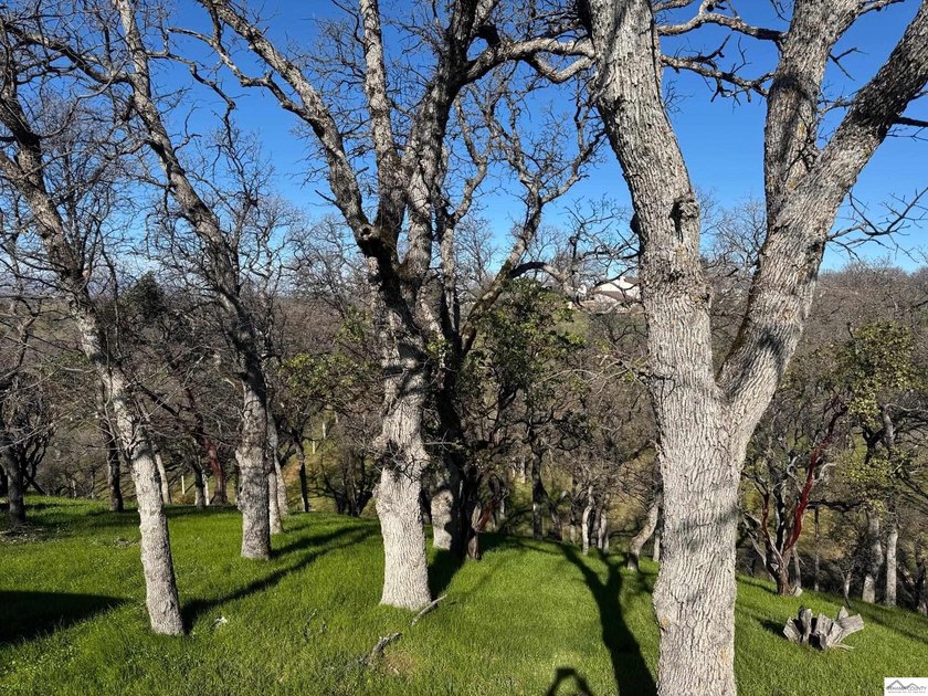 Zoned R-2, this quarter acre (.27) lot has a variety of uses - photo 2
