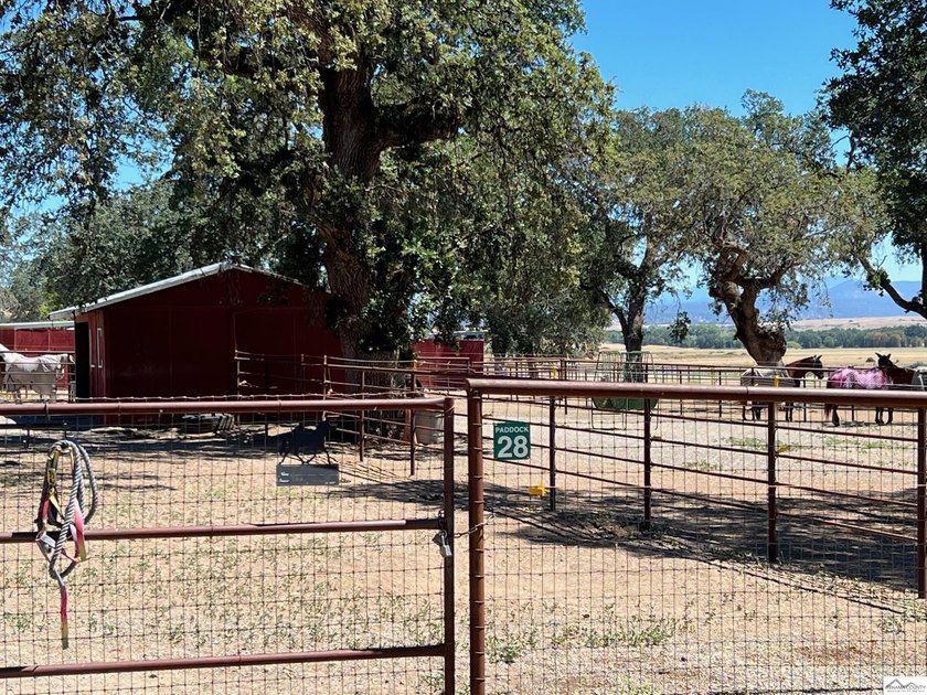 Zoned R-2, this quarter acre (.27) lot has a variety of uses - photo 7