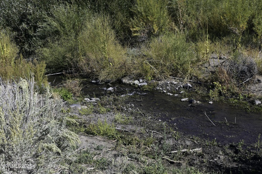 Peaceful 10.45-Acre Parcel with Pine Nut Creek flowing along the - photo 2