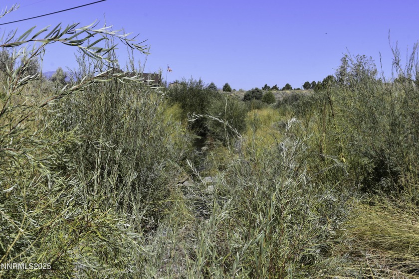 Peaceful 10.45-Acre Parcel with Pine Nut Creek flowing along the - photo 3