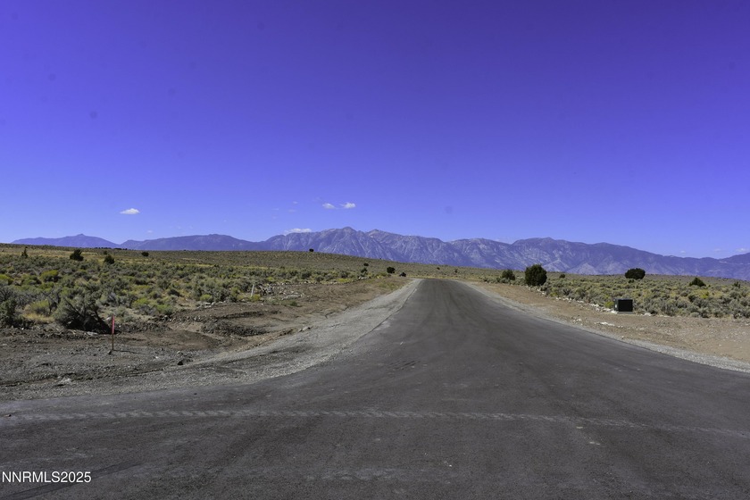 Peaceful 10.45-Acre Parcel with Pine Nut Creek flowing along the - photo 4
