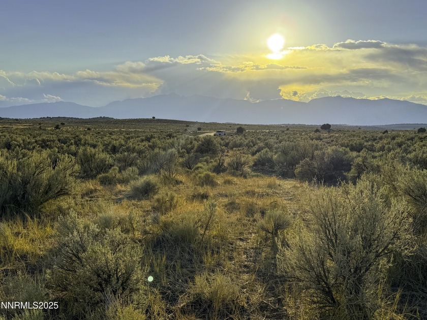 Peaceful 10.45-Acre Parcel with Pine Nut Creek flowing along the - photo 5