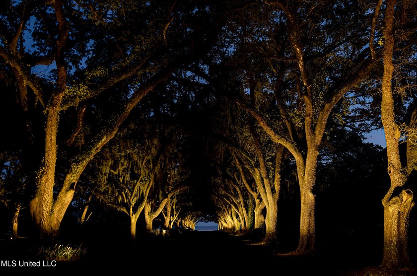 Gorgeous, centuries-old majestic oaks line these level, one-acre - photo 20