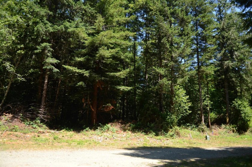 Rare and beautiful subdivision lot w/secluded privacy and Del - photo 2