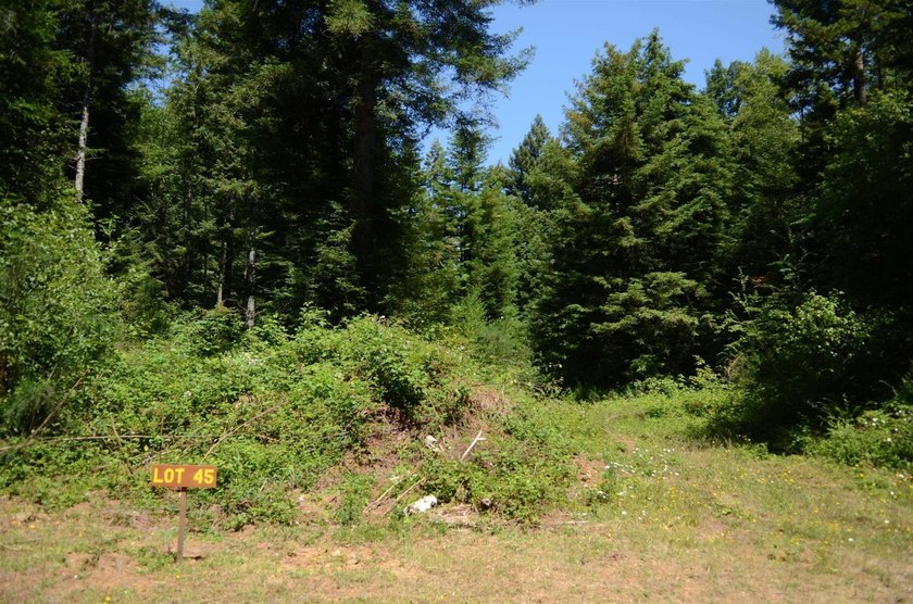 Rare and beautiful subdivision lot w/secluded privacy and Del - photo 2