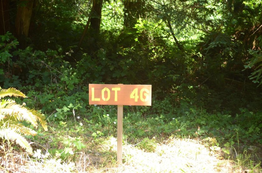 Rare and beautiful subdivision lot w/secluded privacy and Del - photo 2