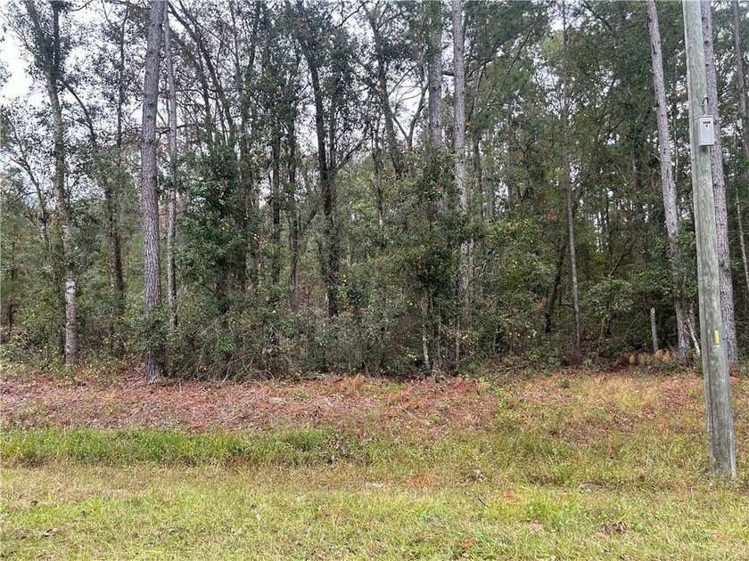 Build your dream home! This 1.76 acre tract of land is situated - photo 4