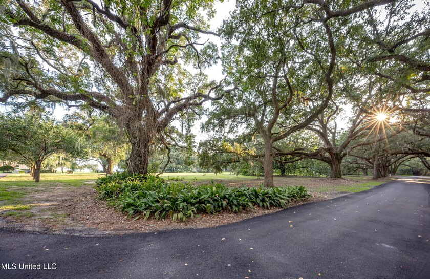 Gorgeous, centuries-old majestic oaks line these level, one-acre - photo 11