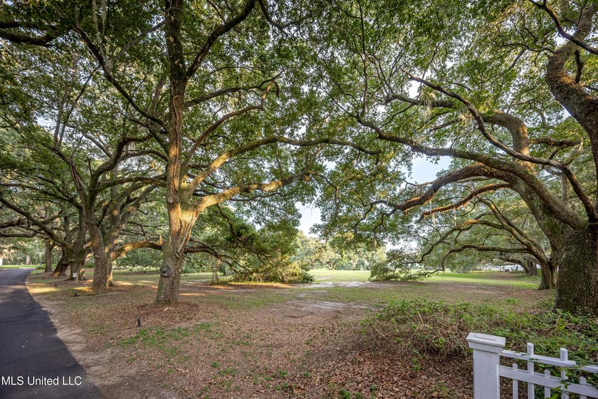 Gorgeous, centuries-old majestic oaks line these level, one-acre - photo 14